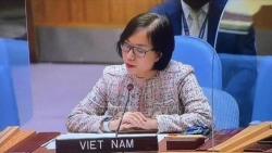 Вьетнам придает большое значение сотрудничеству с ООН и другими международными организациями в борьбе с пандемией