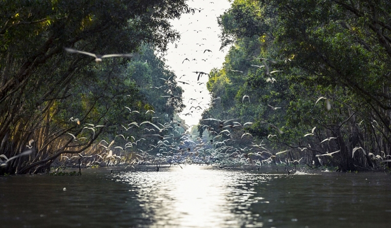 Национальный парк Чамтим привлекает туристов своей собственной красотой