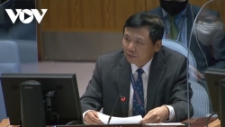 Вьетнам принял участие в  заседании Совета безопасности ООН по ситуации в Колумбии