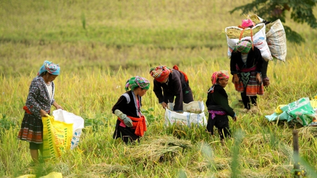 Правительство Вьетнама отдает приоритет экономическому росту с учётом заботы о малоимущих людях