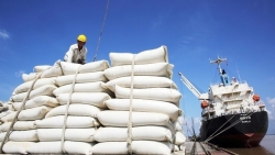VFA: цена на пятипроцентный дробленый рис  Вьетнама занимает первое место в мире