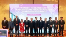Вьетнам принял участие в 6-м заседании Комиссии ВПТТП
