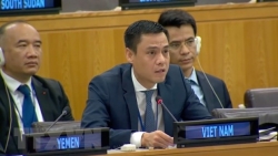 Вьетнам призвал международное сообщество прилагать усилия для разоружения