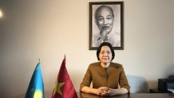 Посол: Вьетнам будет активно и ответственно способствовать решению общих проблем на форуме СВМДА