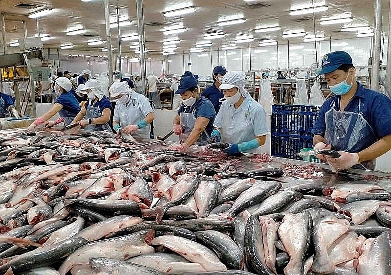 Экспорт пангасиуса на рынок АСЕАН превысит уровень экспорта на рынок ЕС
