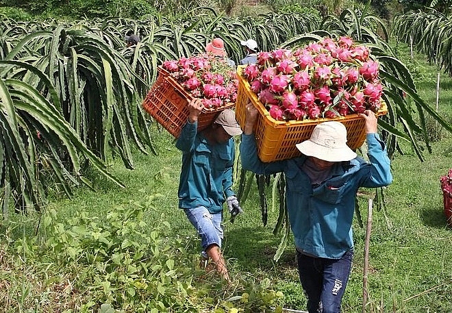 Китай ужесточает требования к импорту сельскохозяйственной продукции