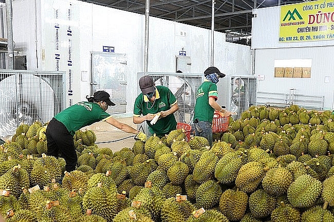 Экспорт сельскохозяйственной продукции Вьетнама в Китай резко увеличился