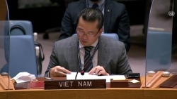 Вьетнам поддерживает ядерное нераспространение и разоружение