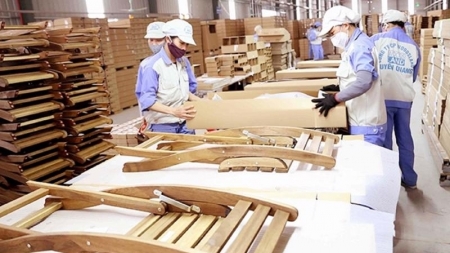 Объем экспорта лесных продуктов в 2022 году составил почти 17 млрд долларов США