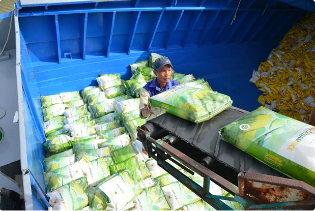 Экспорт риса установил новый рекорд с 2009 года. (Фото: PV/Вьетнам+)