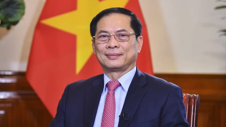 Вьетнамская дипломатия в 2023 году: Пример впечатляющих достижений страны