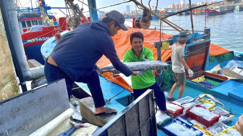 Рыболовы Дананга в борьбе против незаконного промысла