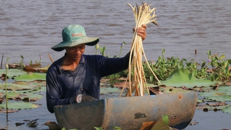Вьетнам и путь к борьбе с изменением климата: от обязательств - к действиям