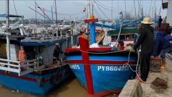 Рыбаки Даклака прилагают усилия для выхода в море, заявляя «нет» ННН-промыслу