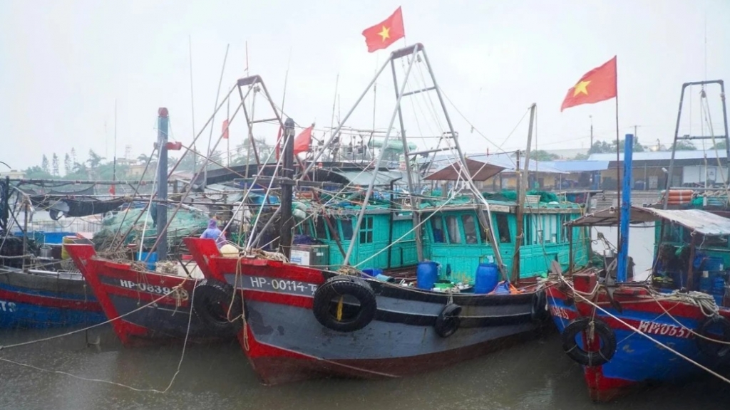 Хайфон решительно стремляется снять «жёлтую карточку» ЕК