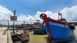 Предприятия, нарушившие требования IUU, будут исключены из VASEP