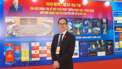 Использование интеллектуального потенциала вьетнамской диаспоры для стимулирования частной экономики и инноваций