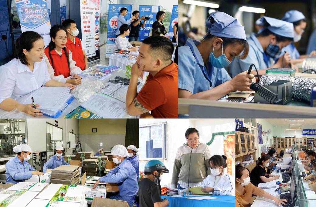 40 лет «Доймой»: путь от преодоления нищеты к стремлению к могуществу