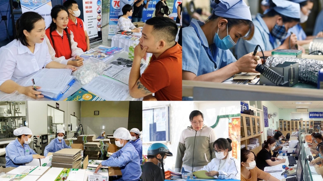 40 лет «Доймой»: путь от преодоления нищеты к стремлению к могуществу