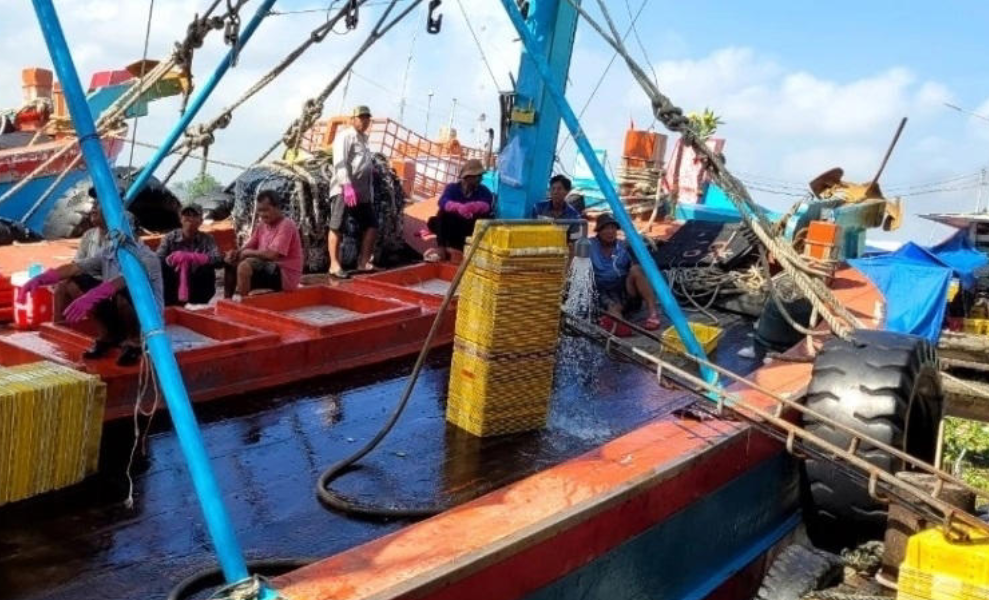 Провинция Донгтхап усилил контроль за рыболовным флотом в рамках борьбы с ННН-промыслом