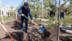 В Казахстане более 10 миллионов человек участвуют в уборке территорий, высажено 1,3 млрд деревьев