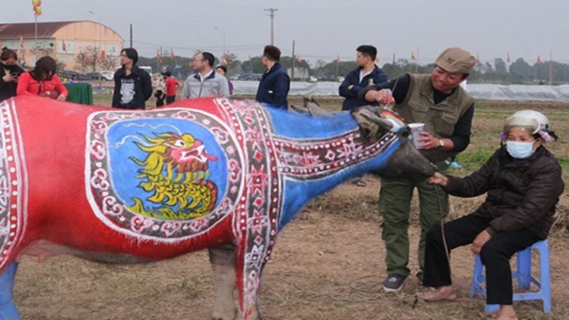 Уникальный конкурс по росписи на телах буйволов на новогоднем фестивале Дойшон