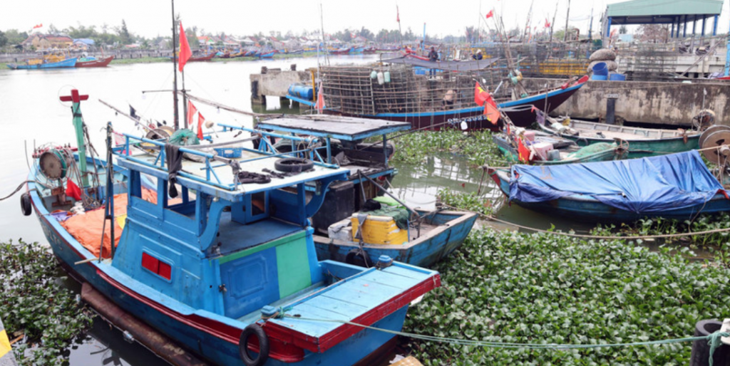 Г. Дананг усиливает меры по борьбе с ННН-промыслом