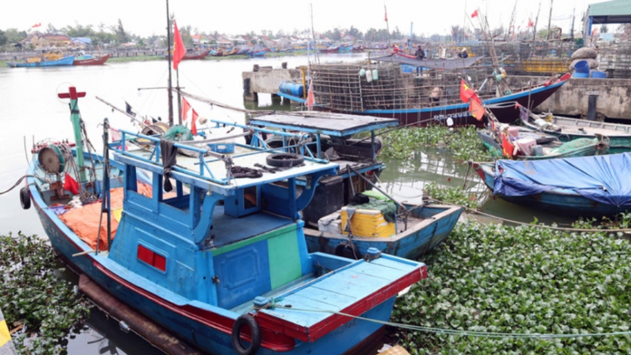 Г. Дананг усиливает меры по борьбе с ННН-промыслом