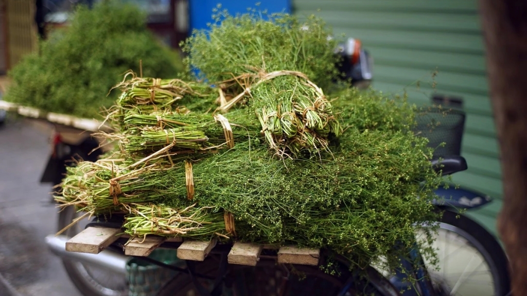 Обычай омовения отваром зрелого кориандра в канун Тэта