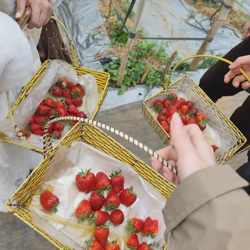 Весна на плато Моктяу