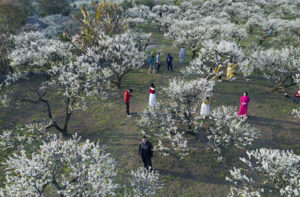 Весна на плато Моктяу