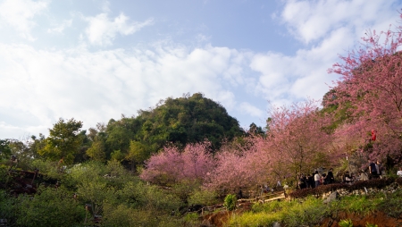 Весна на плато Моктяу