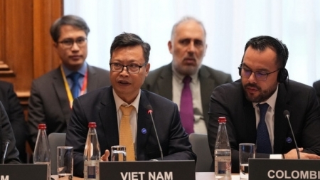 Вьетнам стал ассоциированной страной Международного энергетического агентства