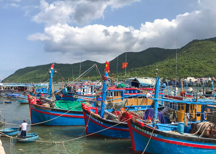 Кханьхоа: рыболовный сезон нового года открыт при строгом соблюдении законодательств