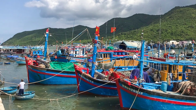Кханьхоа: рыболовный сезон нового года открыт при строгом соблюдении законодательств
