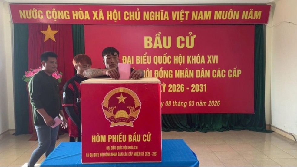 Выборы в НС и народные советы: ключевая роль в институционализации стратегических ориентиров и укреплении основы развития