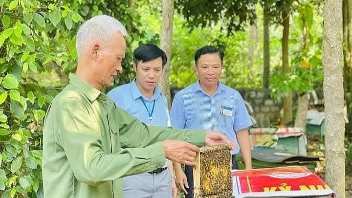 Развитие «серебряной экономики» во Вьетнаме: превращение вызова старения в двигатель роста