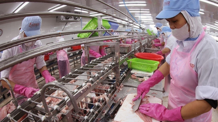 В I квартале экспорт сельскохозяйственной, лесной и рыбной продукции вырос почти на 6%