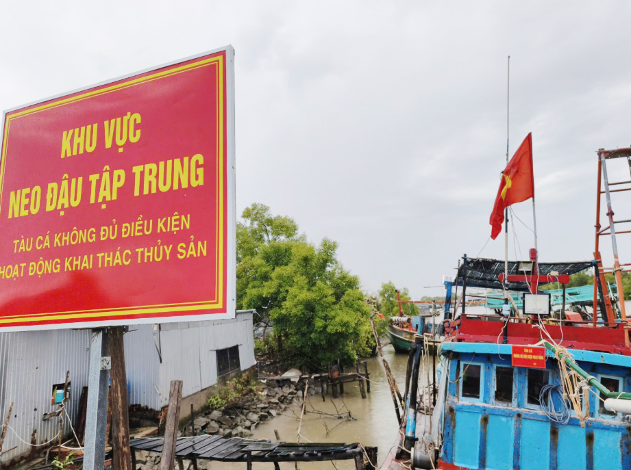 Провинция Анзянг вводит жесткий график мер по снятию «желтой карточки» за ННН-промысел