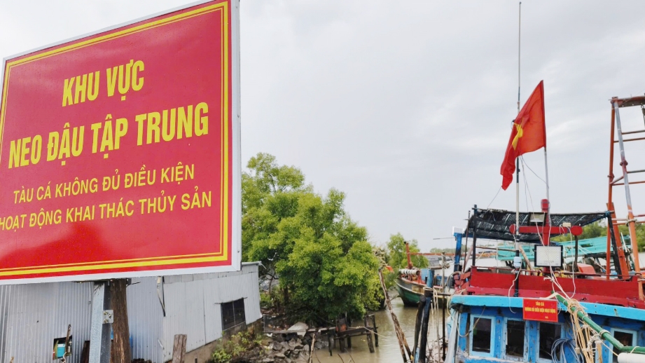 Провинция Анзянг вводит жесткий график мер по снятию «желтой карточки» за ННН-промысел