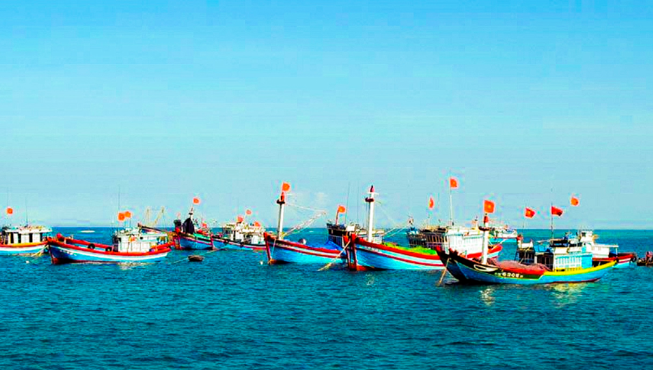 Провинция Донгтхап активизирует меры по борьбе с ННН-промыслом