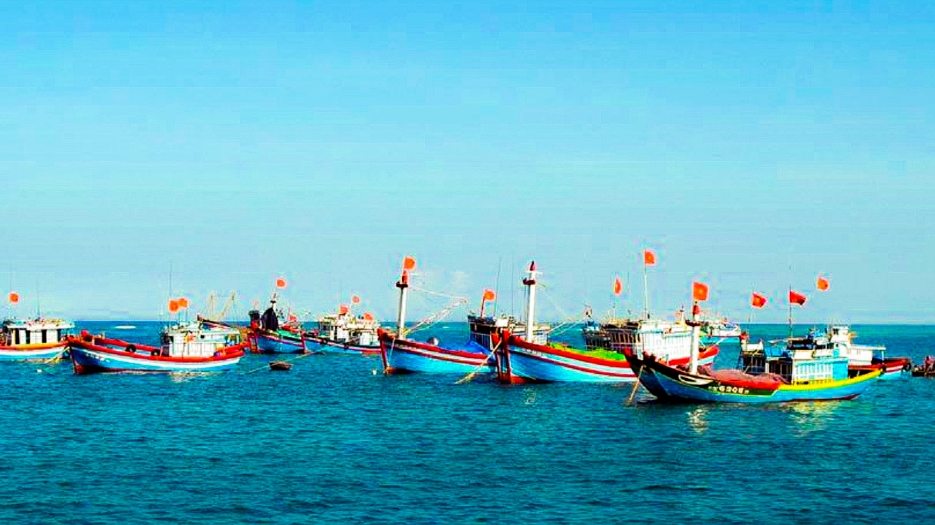 Провинция Донгтхап активизирует меры по борьбе с ННН-промыслом