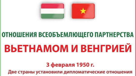 Всеобъемлющее партнерство между Вьетнамом и Венгрией