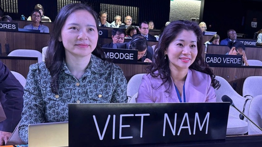 Вьетнам вновь избран членом Межправительственного комитета Конвенции ЮНЕСКО 2005 года