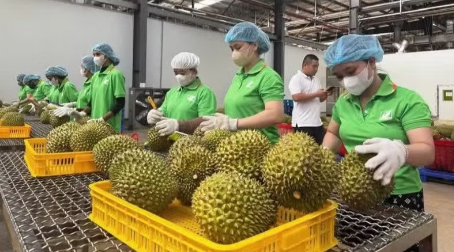 Формирование «цифрового паспорта» для вьетнамской сельхозпродукции
