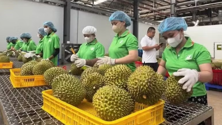 Формирование «цифрового паспорта» для вьетнамской сельхозпродукции