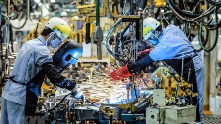 ВВП Вьетнама за первые 6 месяцев 2026 г. вырос на почти 8,2%