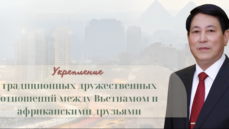 Укрепление традиционных дружественных отношений между Вьетнамом и африканскими друзьями