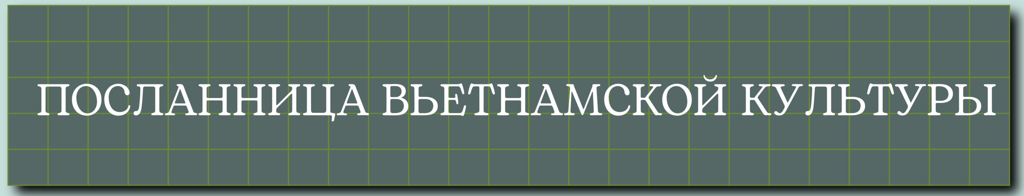 Доктор наук Нгуен Тхи Тхань Ха: двадцать лет, посвящённых развитию вьетнамского языка на Тайване Доктор наук Нгуен Тхи Тхань Ха: двадцать лет, посвящённых сохранению и развитию вьетнамского языка на Тайване