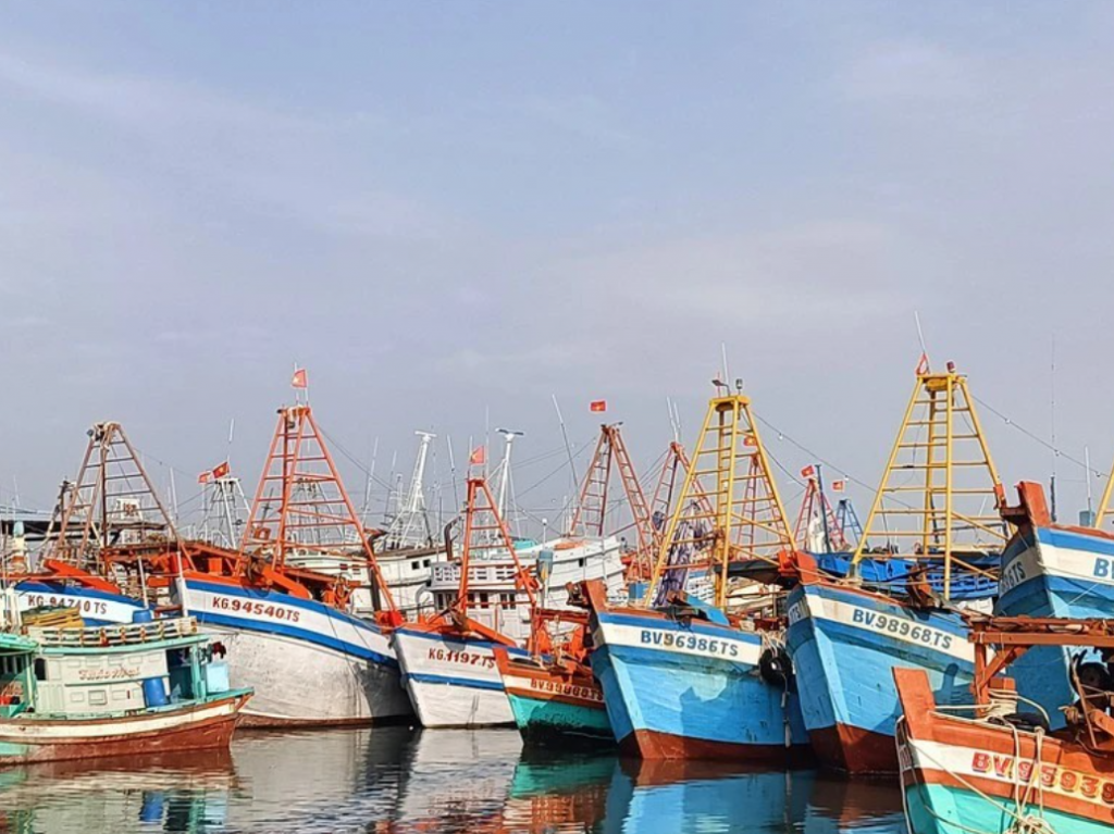 В городе Хошимин больше нет судов, занимающихся ННН-промыслом В городе Хошимин больше нет судов, занимающихся ННН-промыслом